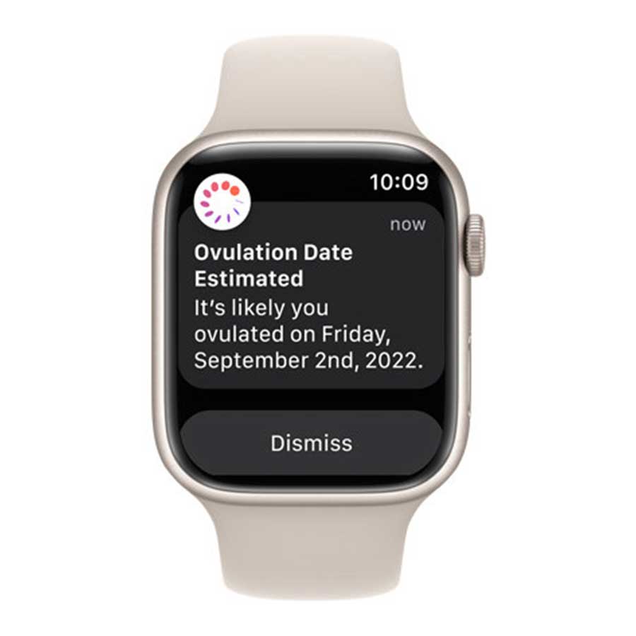 ساعت هوشمند اپل مدل Apple Watch Series 8 45mm