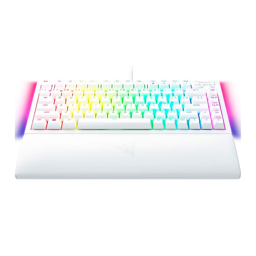 کیبورد گیمینگ باسیم ریزر BlackWidow V4 75-Percentage