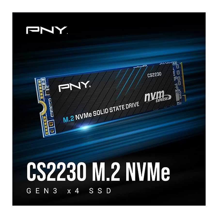 اس اس دی 500 گیگابایت پی ان وای مدل CS2230 M.2 NVMe PCIe