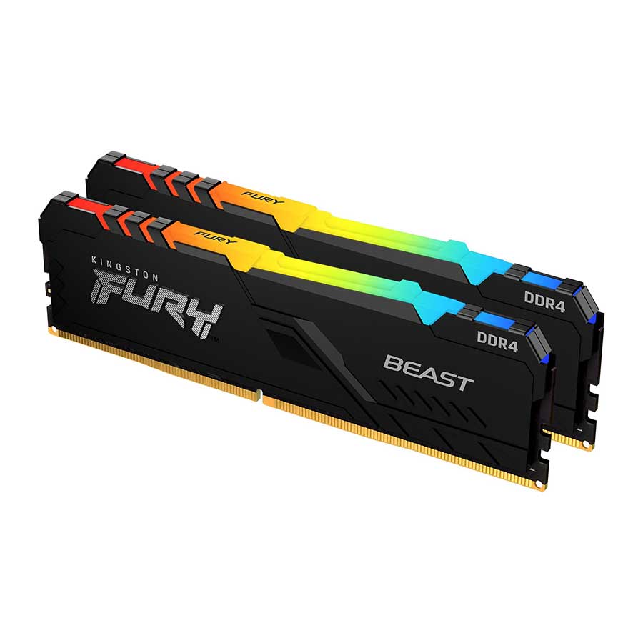 Fury Beast RGB Dual