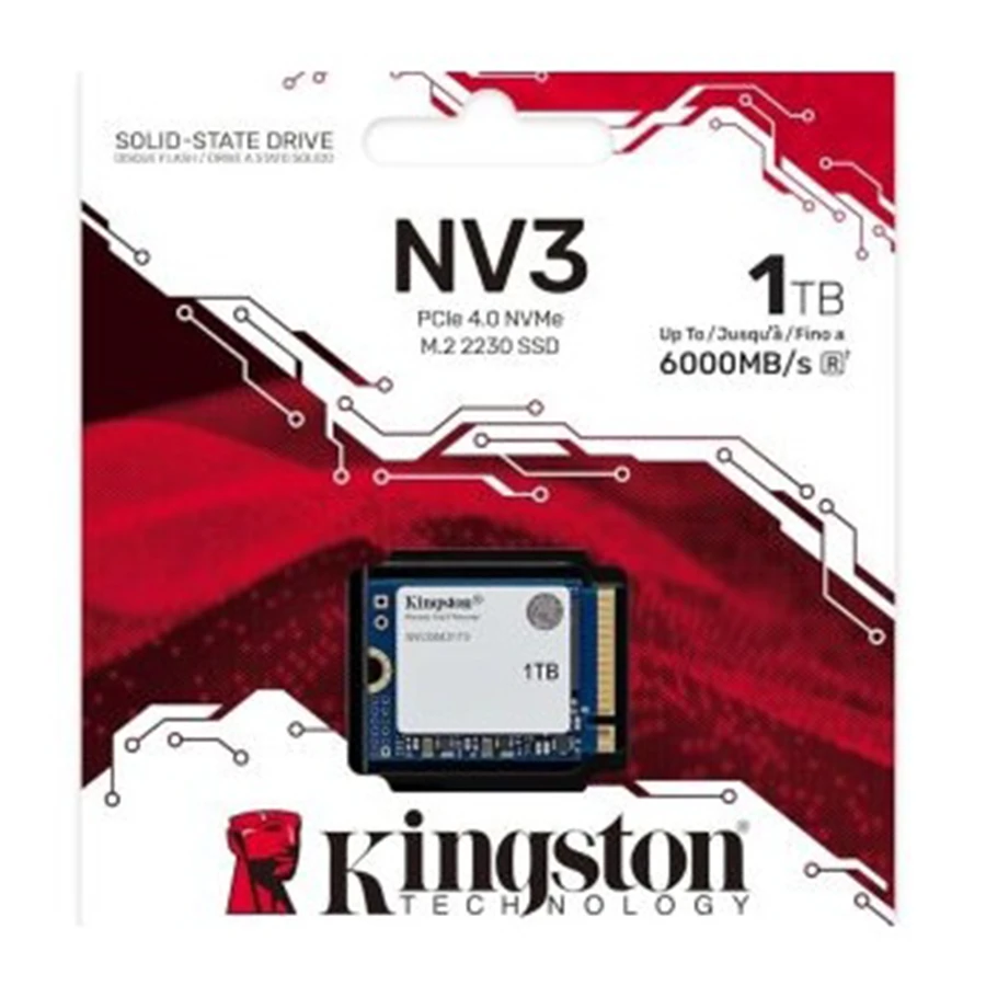 اس اس دی 1 ترابایت کینگستون