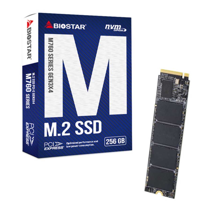 اس اس دی 256 گیگابایت بایوستار مدل M760 M.2 2280 PCI-E NVMe