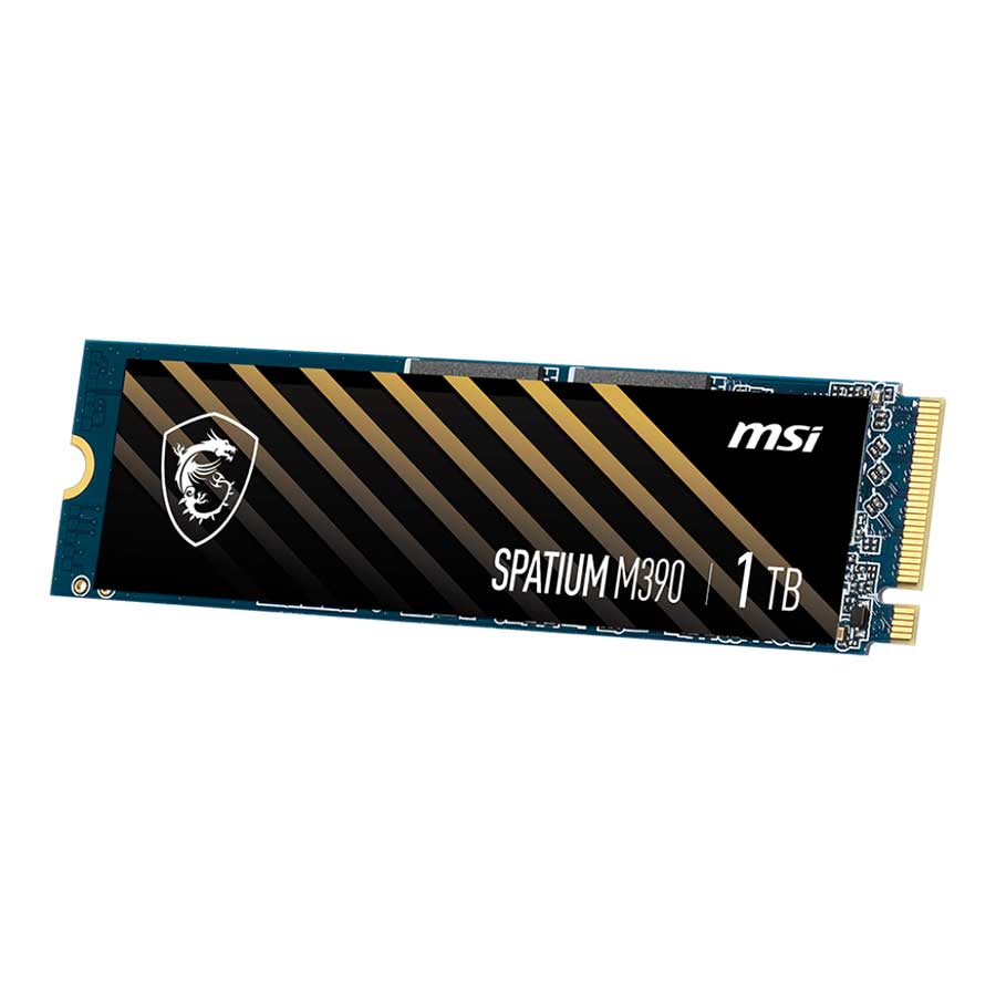 اس اس دی ام اس آی مدل SPATIUM M390 NVMe M.2