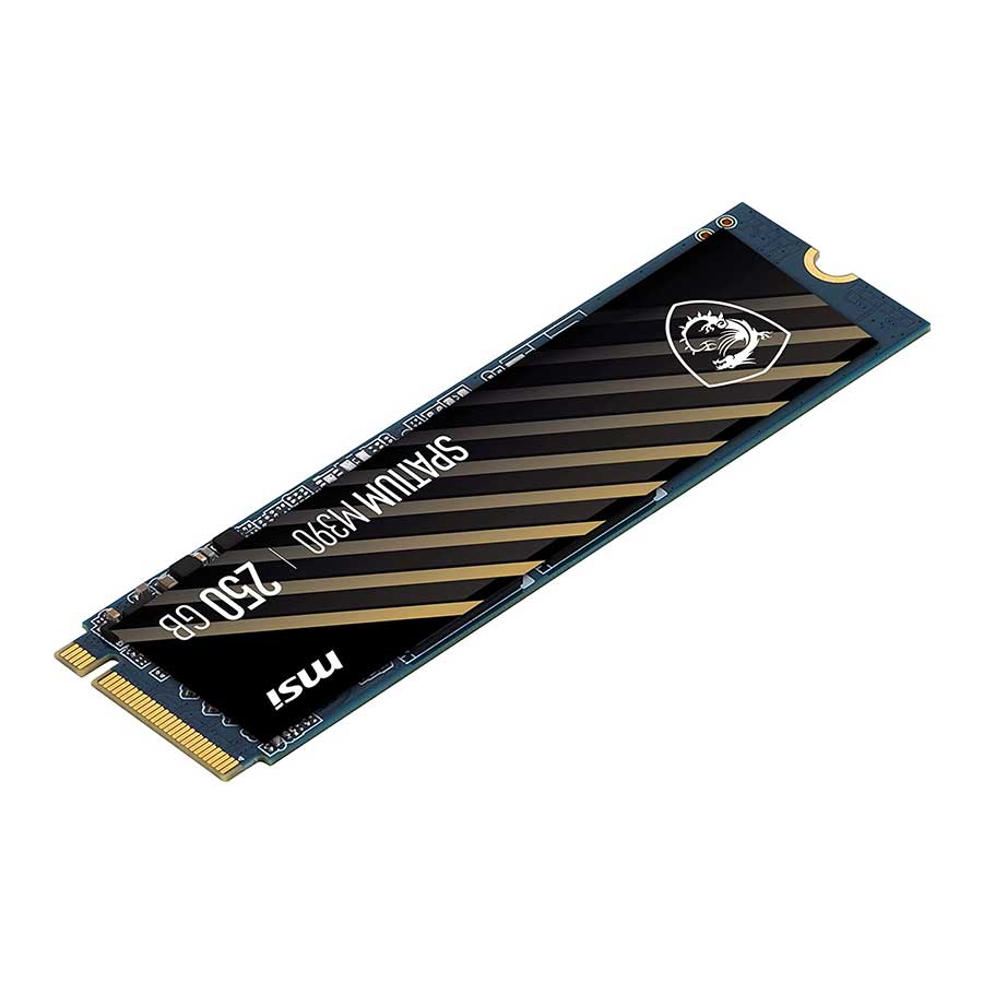 اس اس دی 250 گیگابایت ام اس آی مدل SPATIUM M390 NVMe M.2