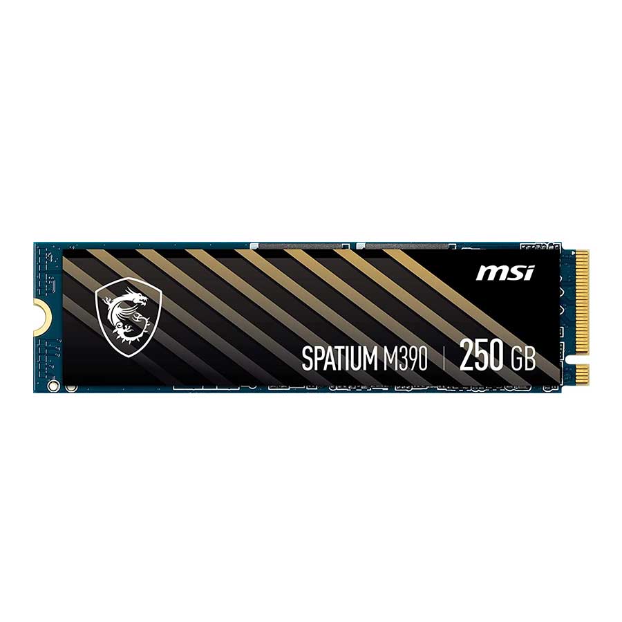 اس اس دی 250 گیگابایت ام اس آی مدل SPATIUM M390 NVMe M.2