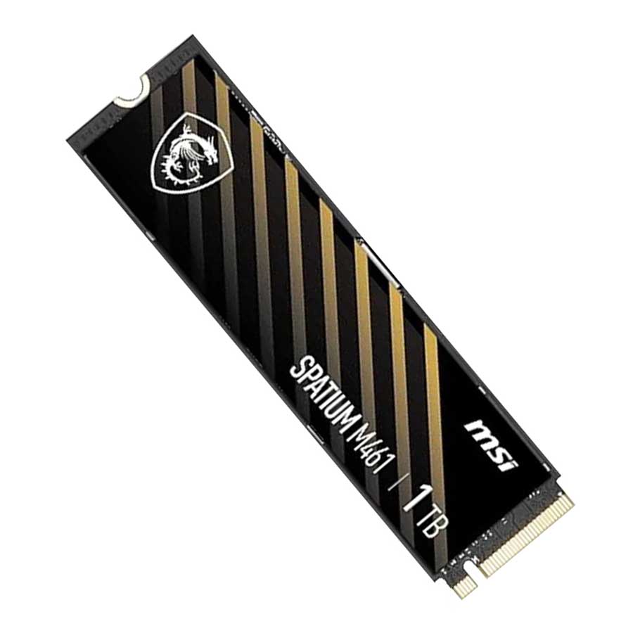 اس اس دی 1 ترابایت ام اس آی مدل SPATIUM M461 PCIe 4.0 NVMe M.2 2280