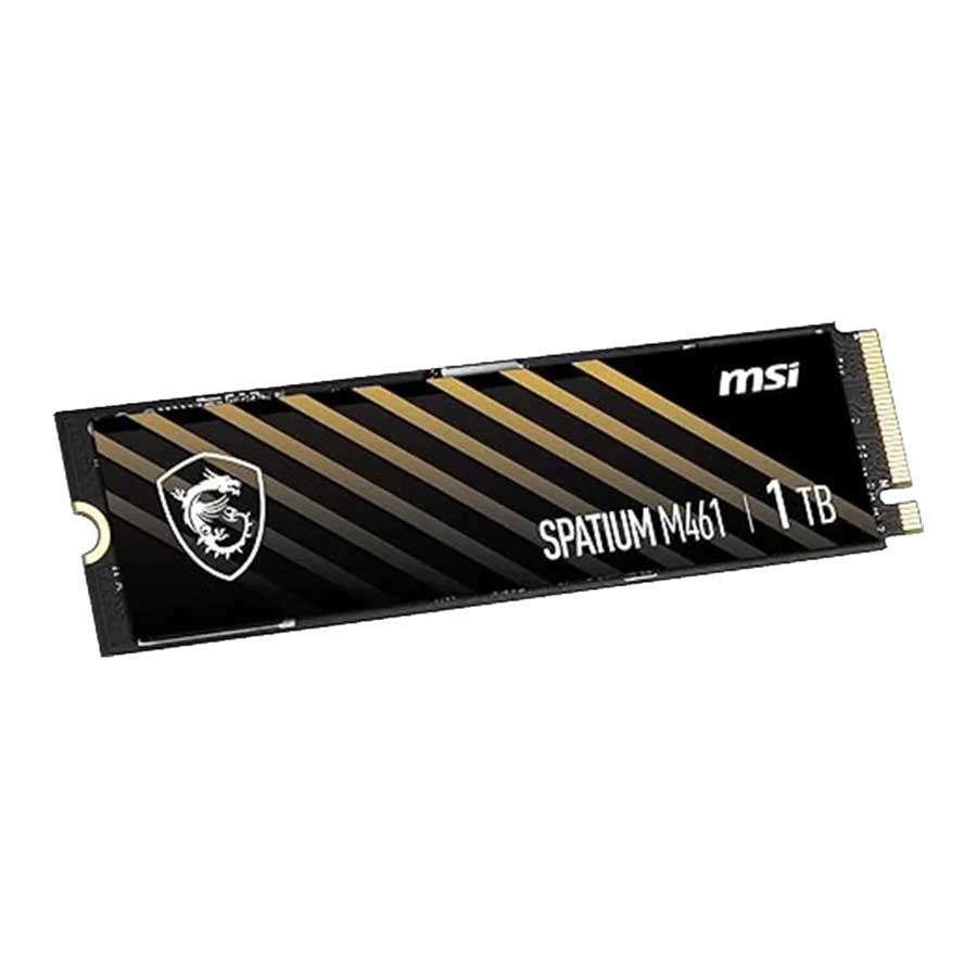 اس اس دی 1 ترابایت ام اس آی مدل SPATIUM M461 PCIe 4.0 NVMe M.2 2280