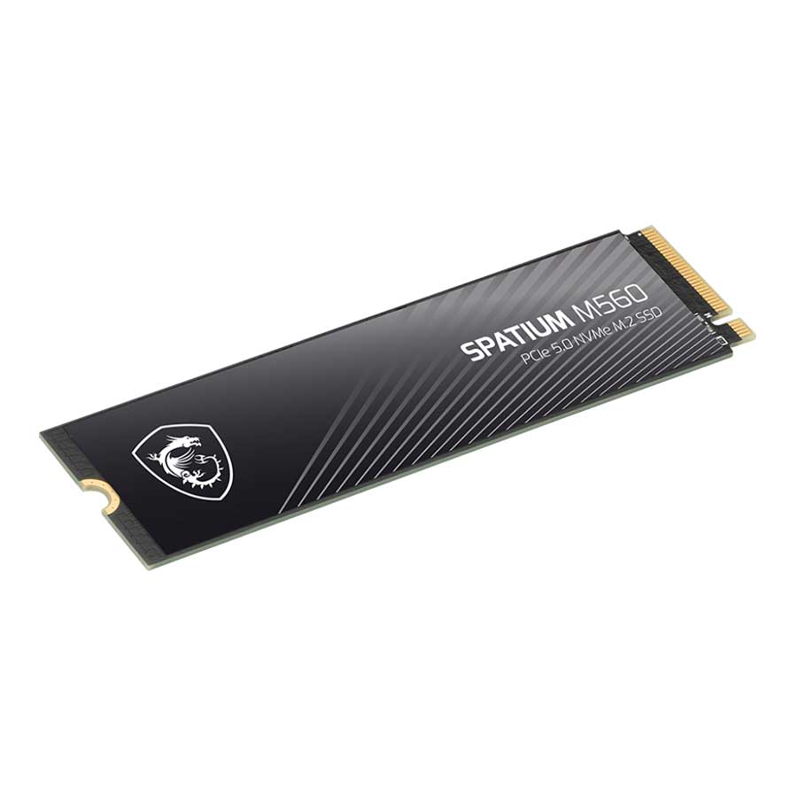 اس اس دی 1 ترابایت ام اس آی مدل Spatium M560 PCIe 5.0 NVMe M.2