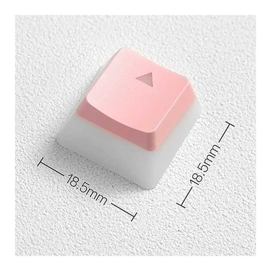 کلید کیبورد ردراگون مدل PBT Scarab Pudding A130 Pink