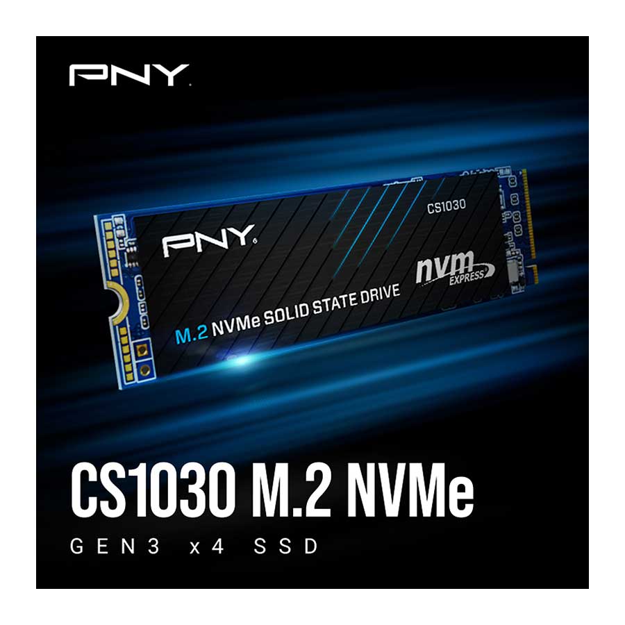 اس اس دی 500 گیگابایت پی ان وای مدل CS1030 M.2 2280 NVMe PCIe