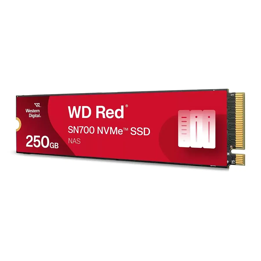 اس اس دی 250 گیگابایت وسترن دیجیتال
